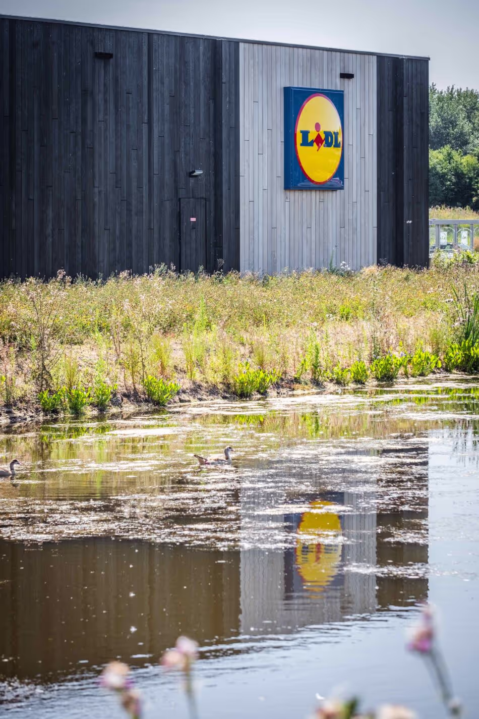 Lidl Zero: a CO2-neutral store