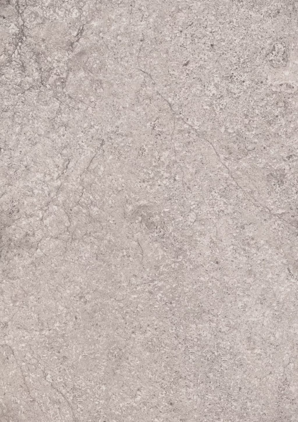 Decorative panel Egger Casella Oak brown 4