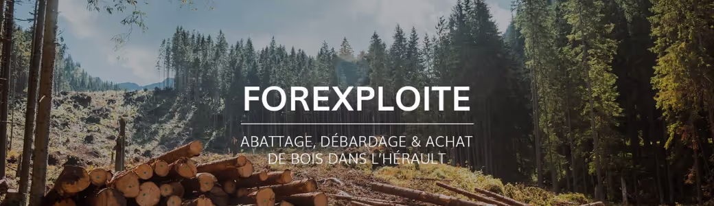 Bannière | Forexploite