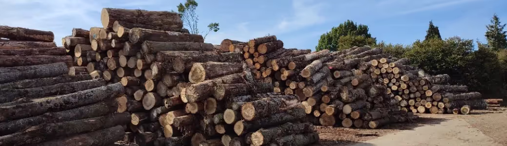Bannière | Scierie Foucher