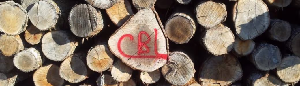 Bannière | Carrefour du Bois Limousin