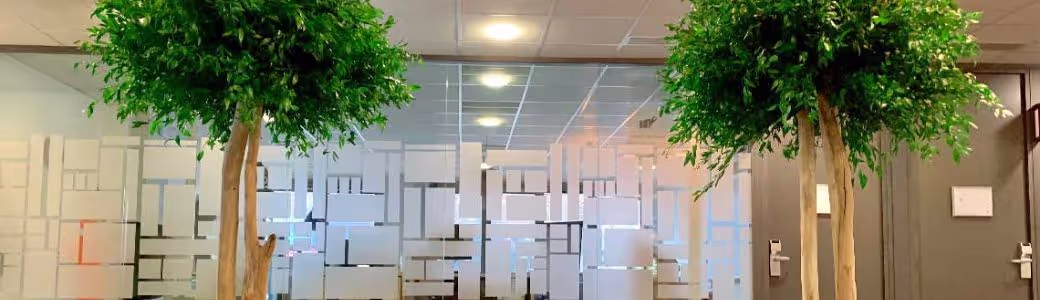 Bannière | C-Vegetal 