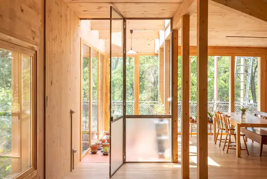 Simbionte House: architecture in locally sourced timber