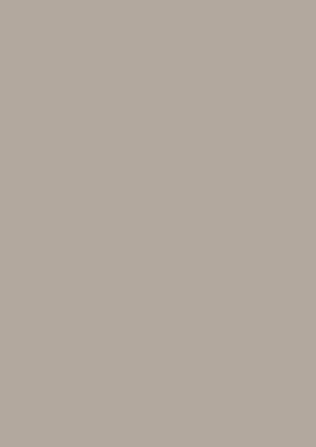 Panneau décoratif Egger Mélèze anthracite 4