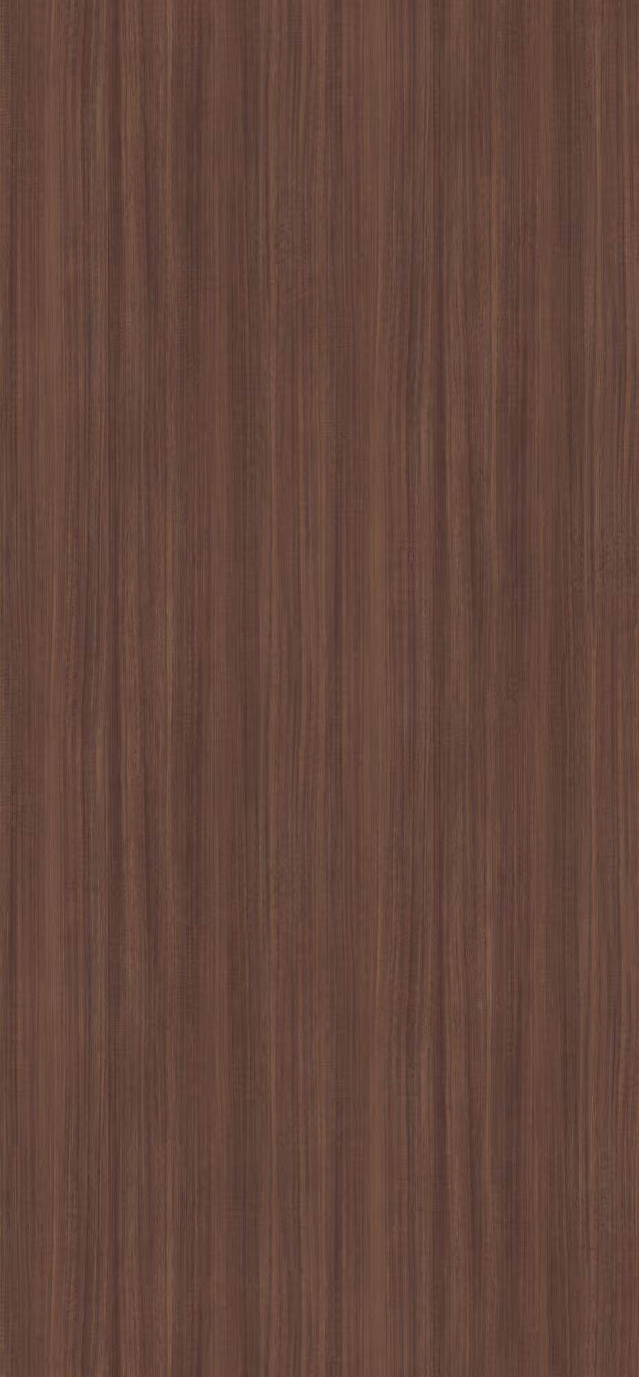 Panneau décoratif Egger Eucalyptus naturel