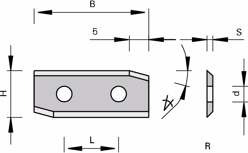 HW reversible inserts with 2 cutting edges and chamfer LEUCO, HOLZ-HER 2