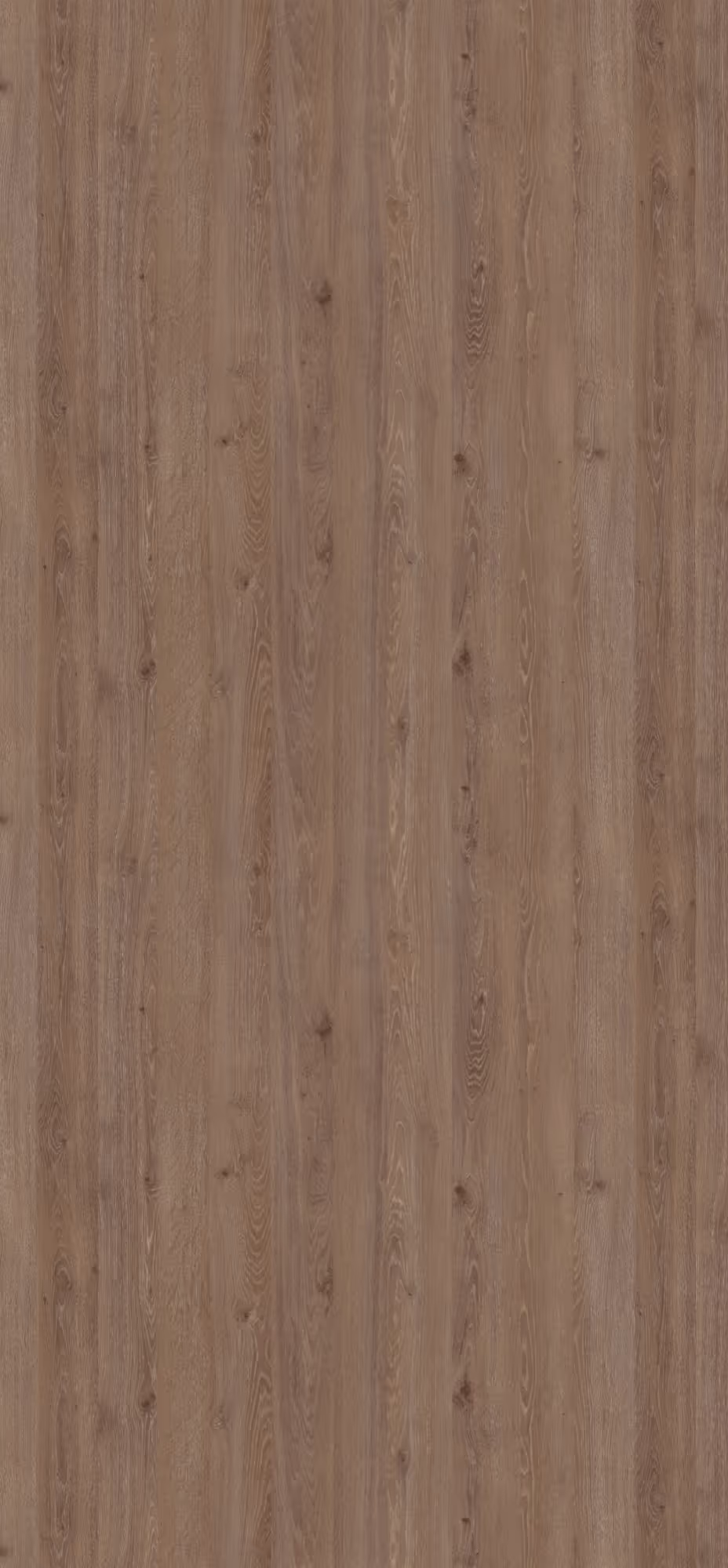 Panneau décoratif Egger Chêne Davos chamois Smoothtouch Matt