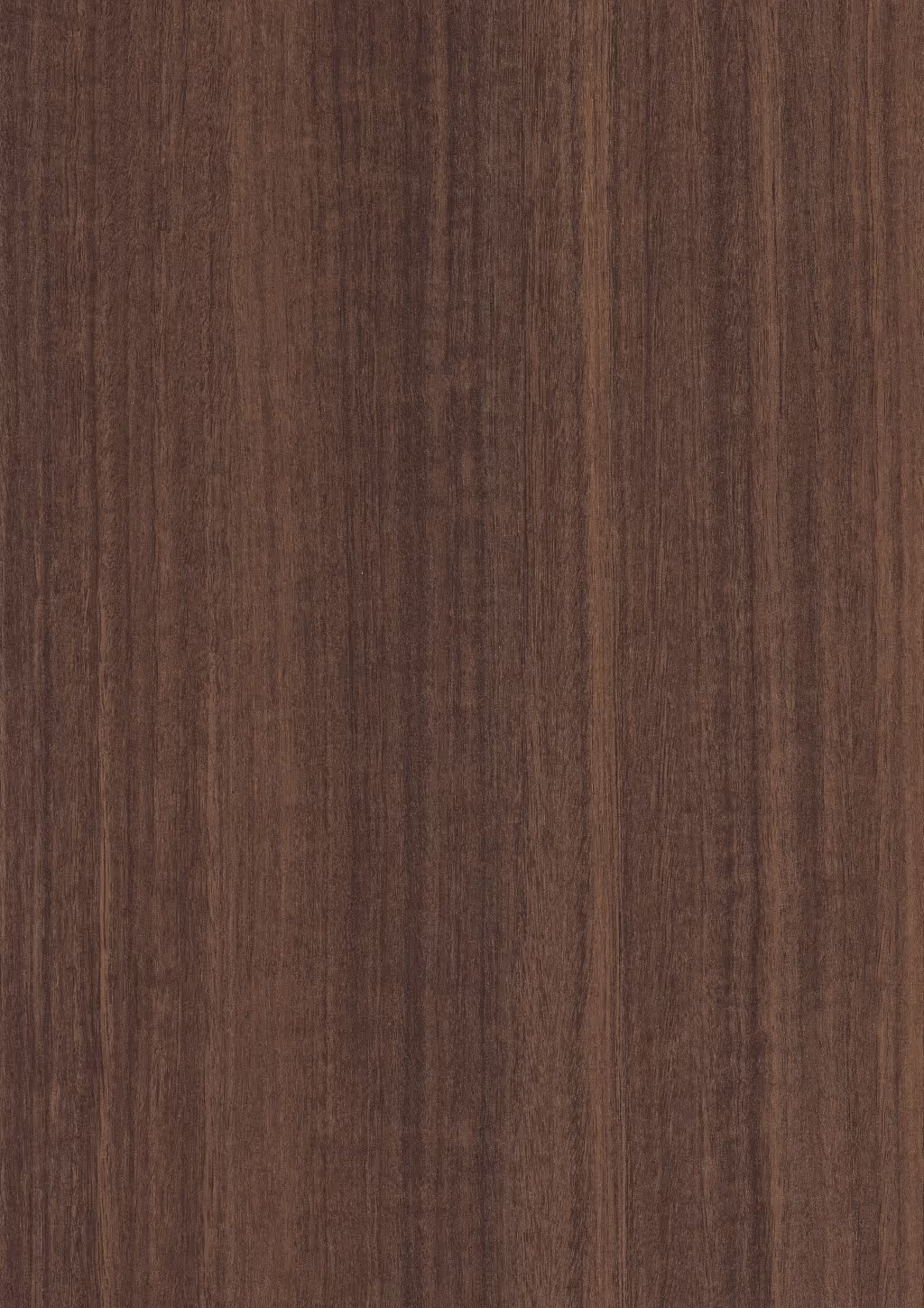 Panneau décoratif Egger Eucalyptus naturel 2