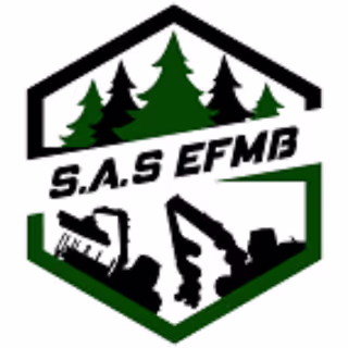 Logo | EFMB SAS