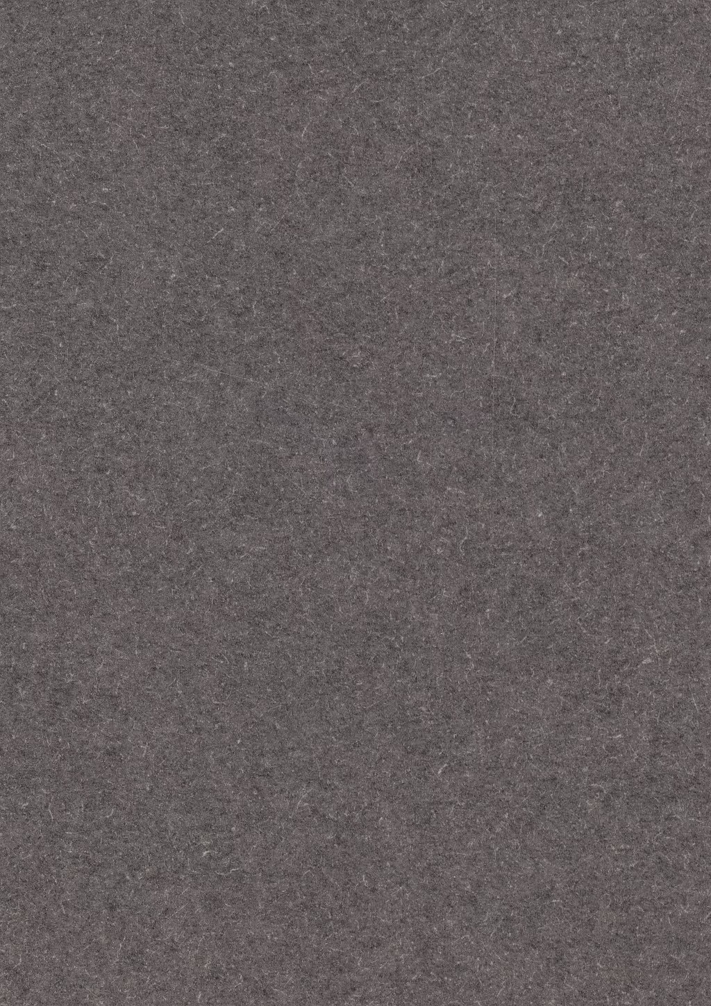 Panneau décoratif Egger Chêne Cuneo blanchi Feelwood Nature 5