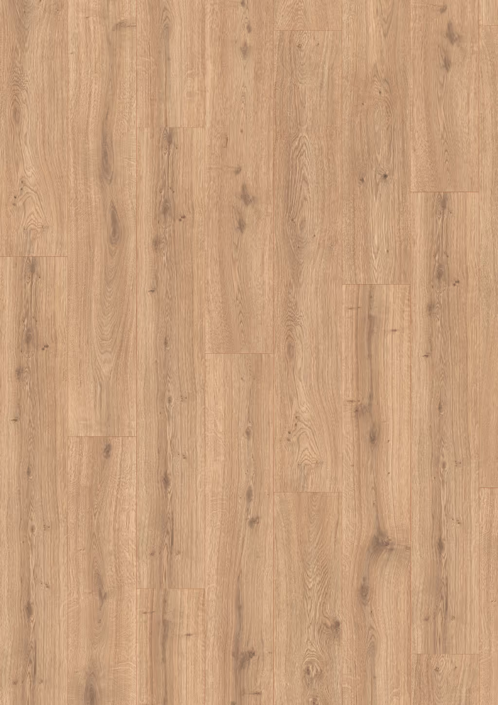Lame de sol stratifié hydrofuge EGGER Natural Predaia Oak 2