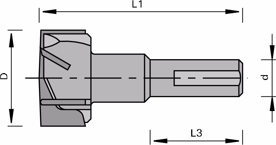 HW cylindrical head boring bit LEUCO, Z=3+3 2
