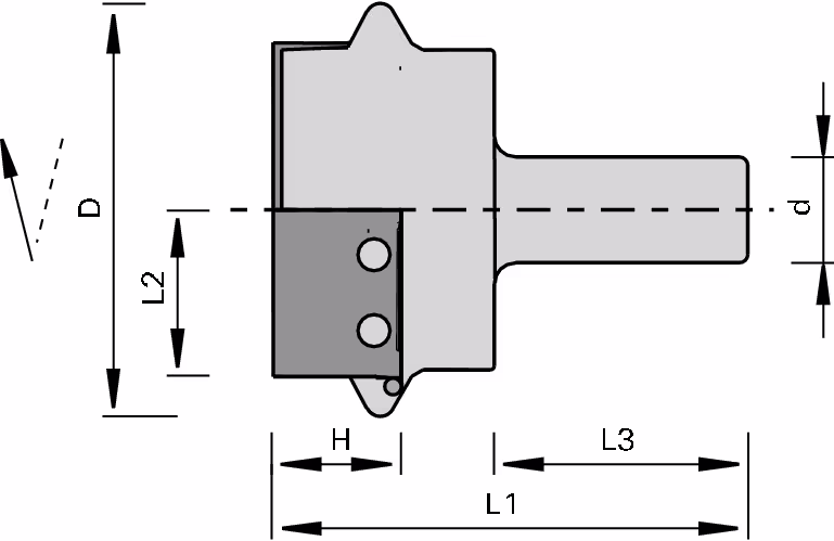 HW EcoPro shank tool bodies for large decorative grooves, Z2 2