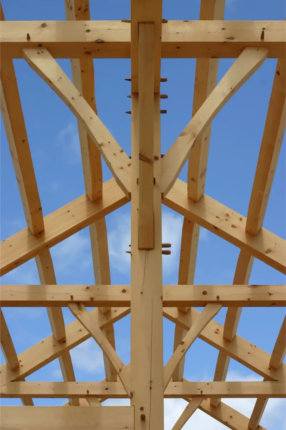 French softwood structural timber 3
