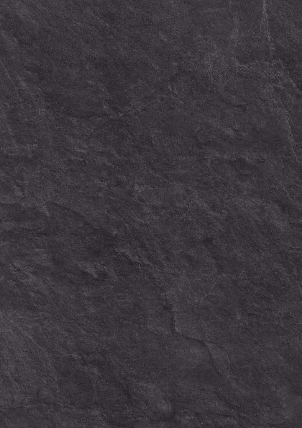Panneau décoratif Egger Chêne Halifax zinc 4