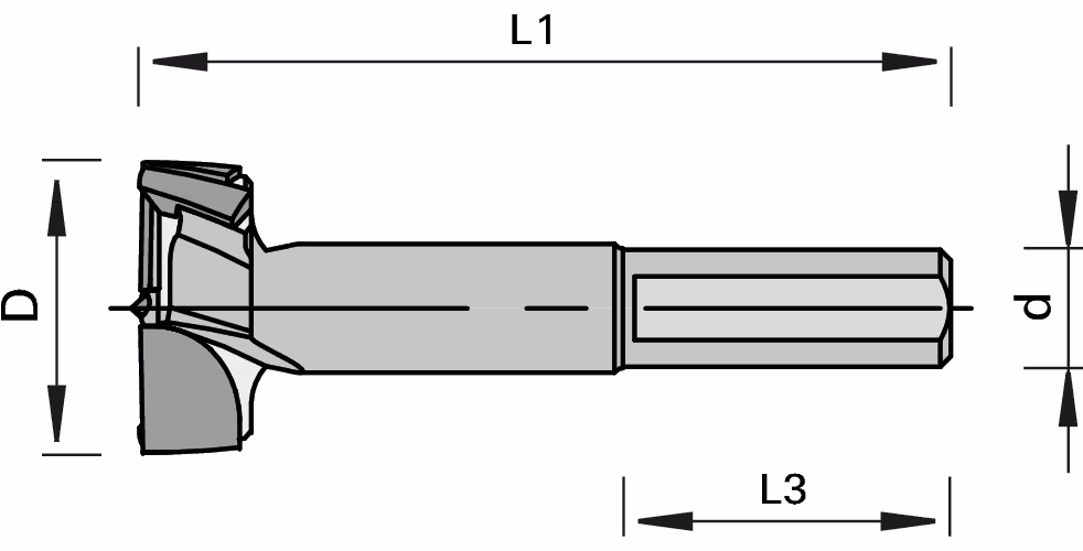 HW cylindrical head boring bit LEUCO, “Light” 2