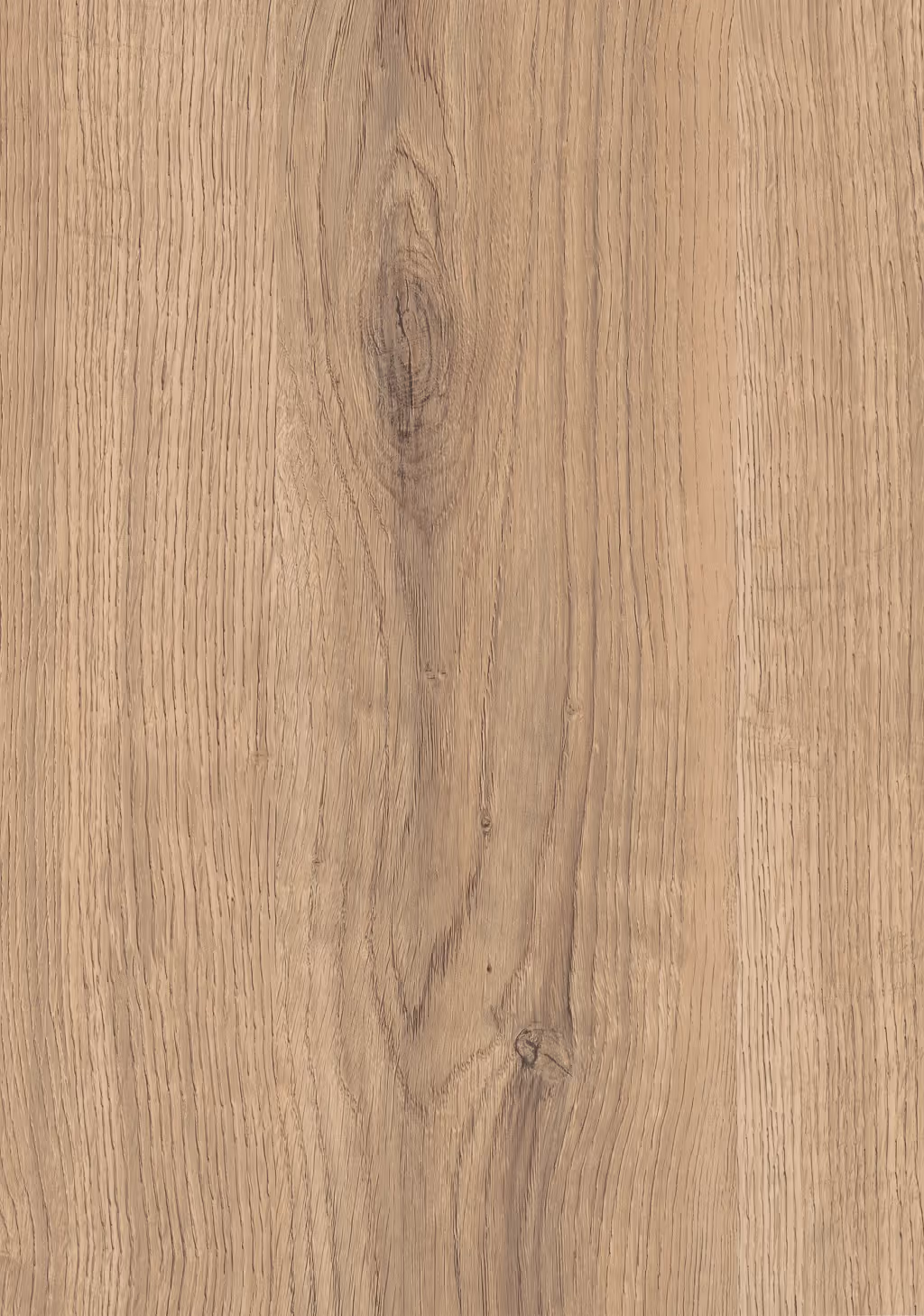 Decorative panel Egger Davenport Oak light natural 2