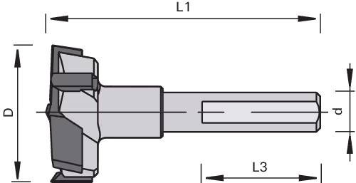 HW cylindrical head boring bit LEUCO, Z=3+3 with centring point 2