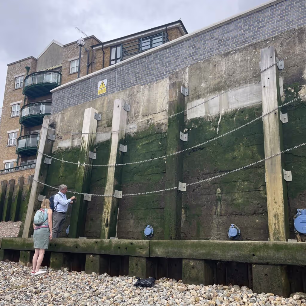 Accoya used for riverbank defences on the Thames