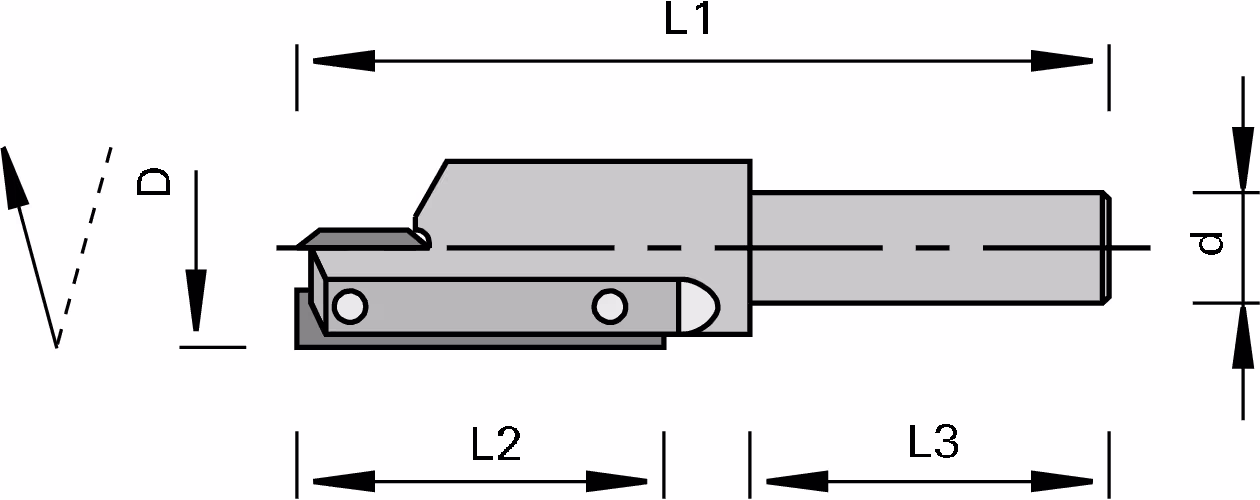 Grooving cutters with carbide reversible inserts LEUCO 2