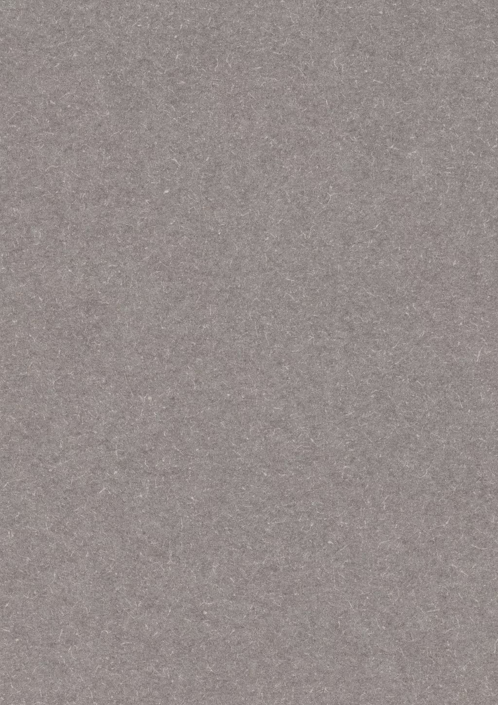Panneau décoratif Egger Mélèze anthracite 5