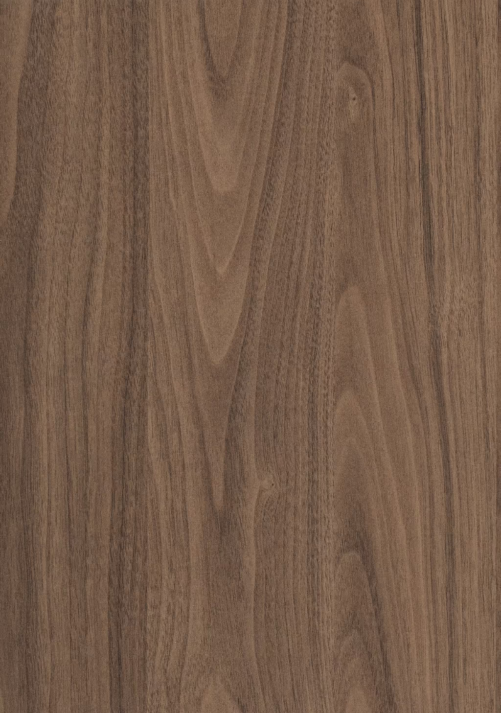 Panneau décoratif Egger Noyer Carini naturel Smoothtouch Matt 2