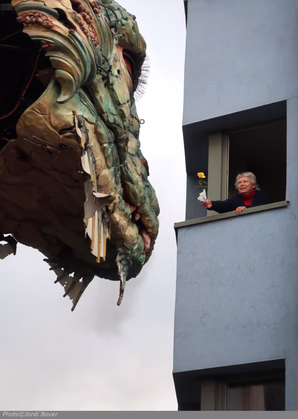 The Dragon of Calais: Accoya in the service of the imagination