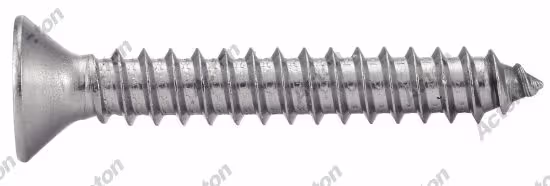 Countersunk head tamper-proof “snake eyes” sheet metal screw, A2 stainless steel, DIN type 2