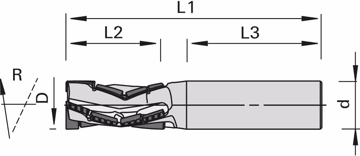 DP roughing and finishing shank cutter LEUCO, Z=4 (2+2) 2