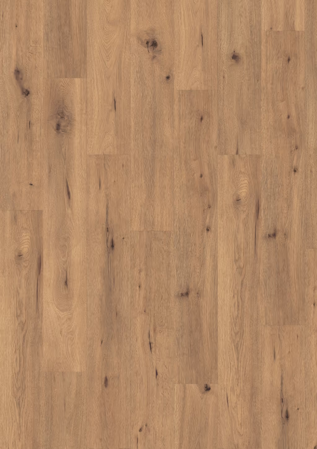 Lame de sol rigide EGGER AquaDura Natural Wild Oak