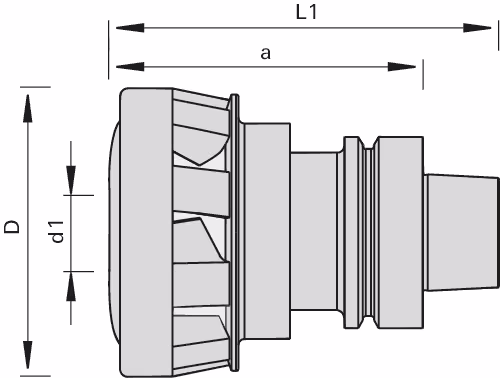 AEROTECH-System FacePlate with HSK 63F with hydro clamping system 2