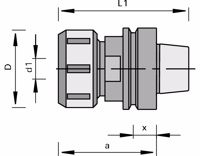 Collet chucks with HSK taper LEUCO 2