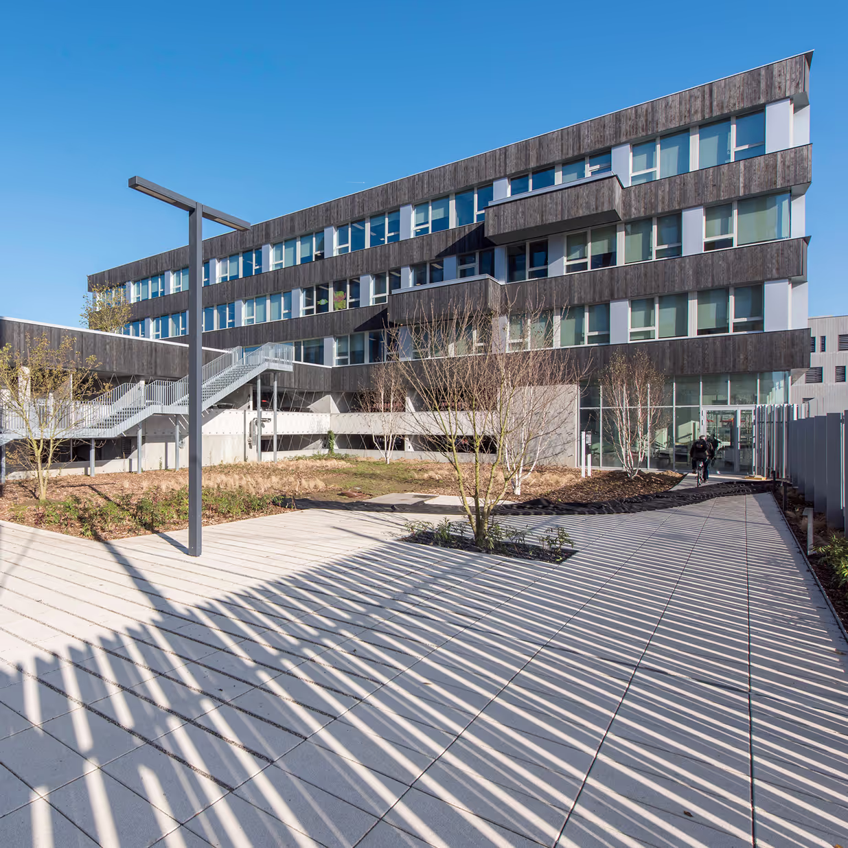 Bardage bois brûlé pour IBM à Lille
