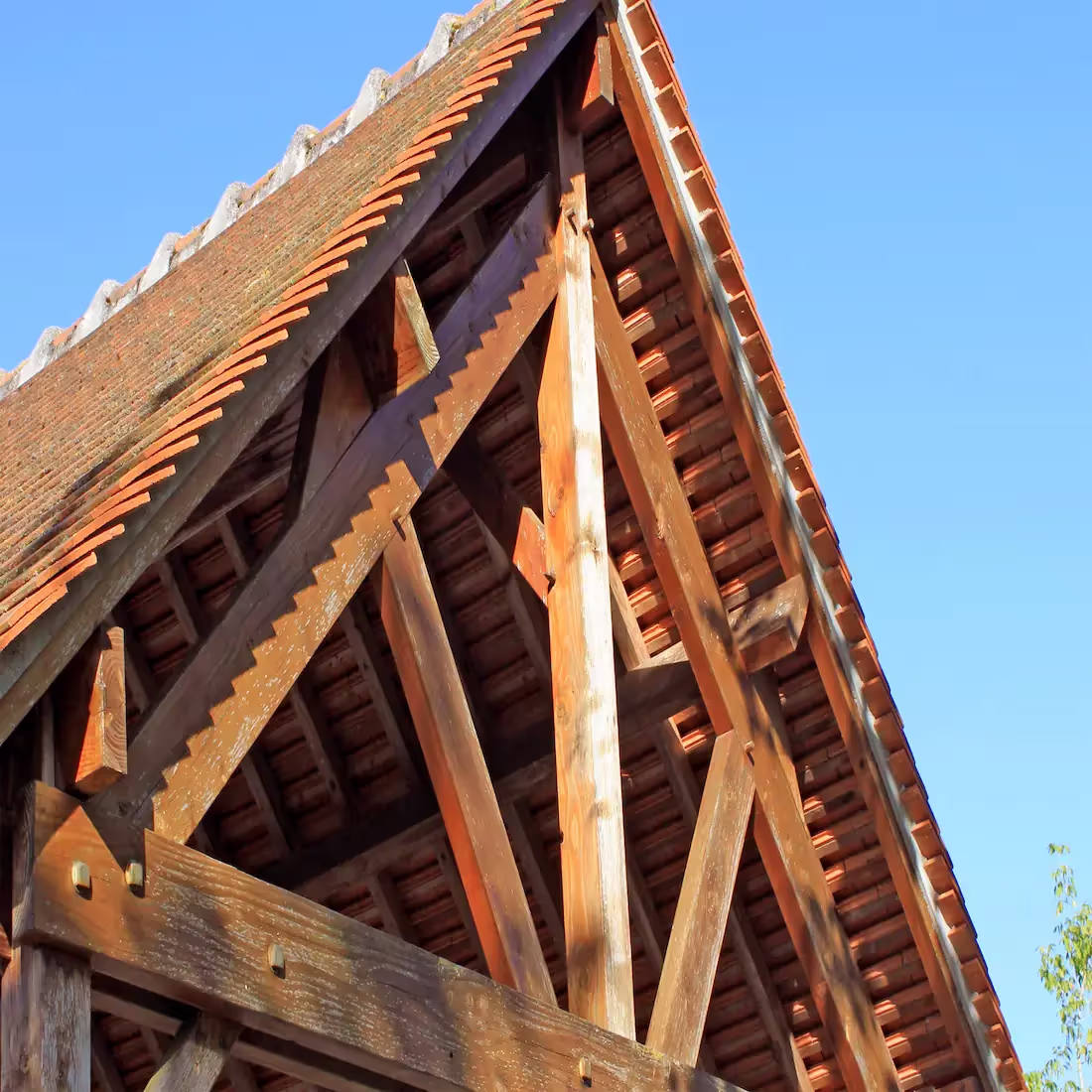 French softwood structural timber 2