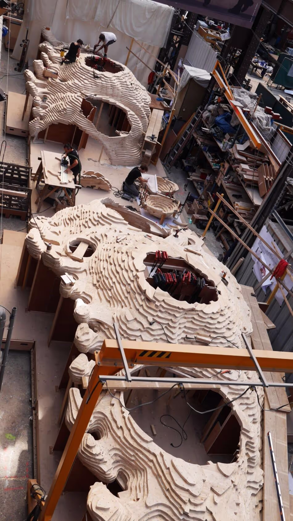 The Dragon of Calais: Accoya in the service of the imagination