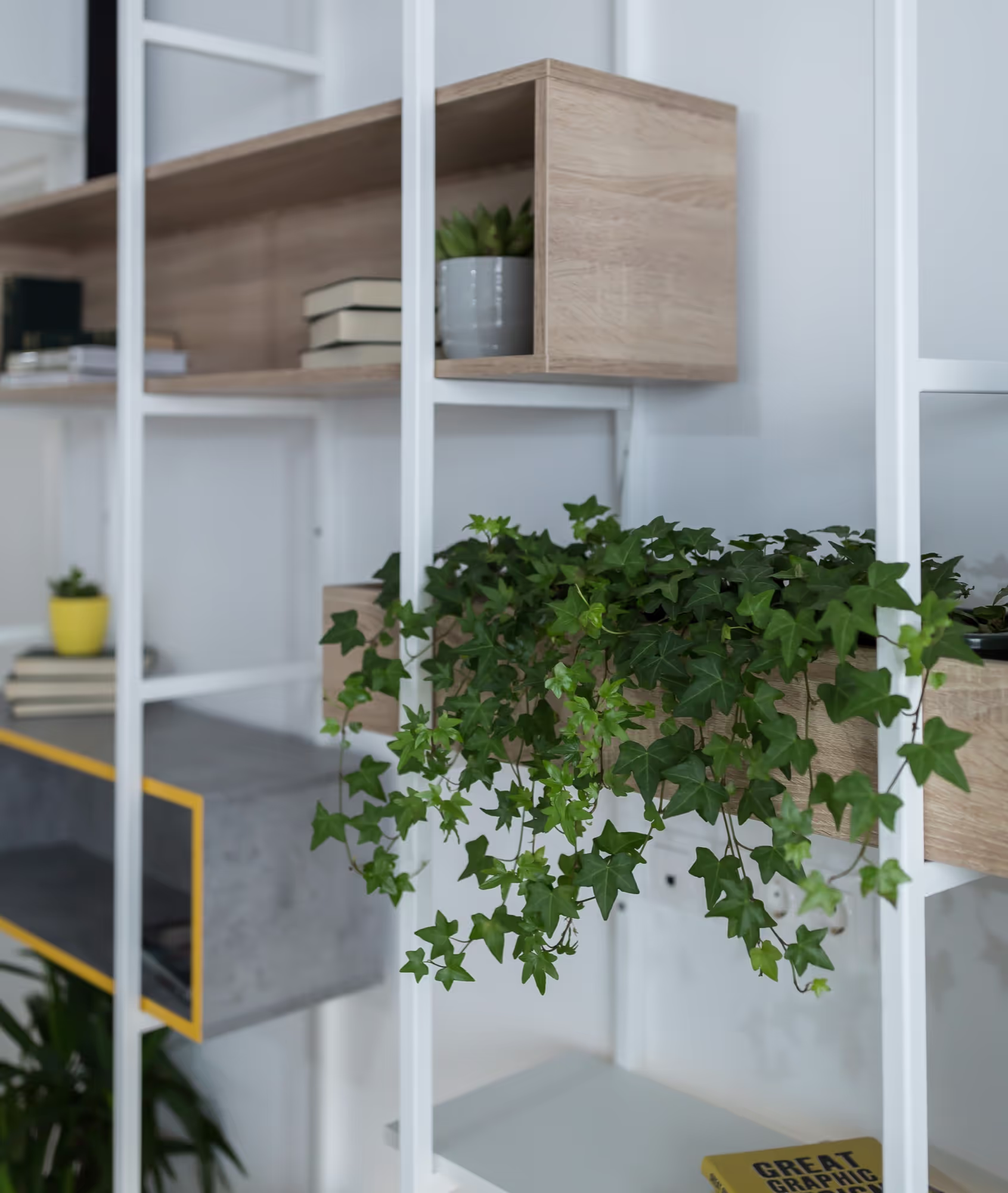 In Lumino apartment, Bucharest