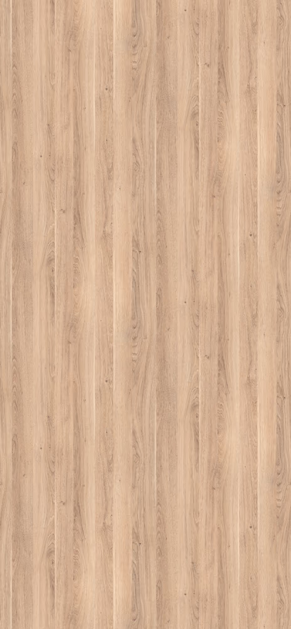 Panneau décoratif Egger Chêne Cuneo blanchi Feelwood Nature
