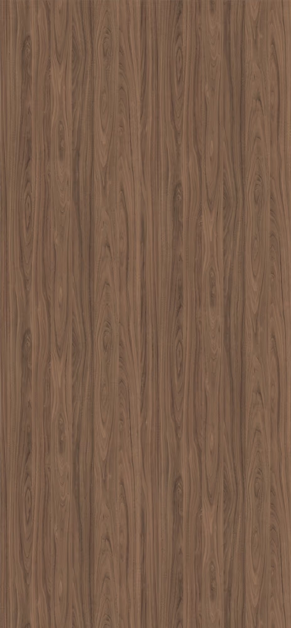 Panneau décoratif Egger Noyer Carini naturel Smoothtouch Matt