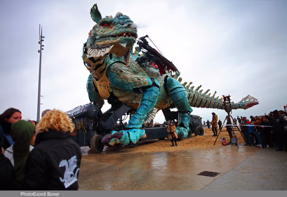 The Dragon of Calais: Accoya in the service of the imagination