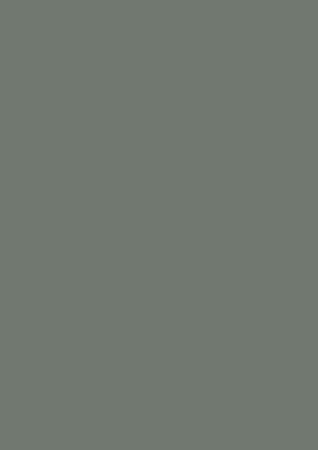 Egger Coloured multiplex edging band 4