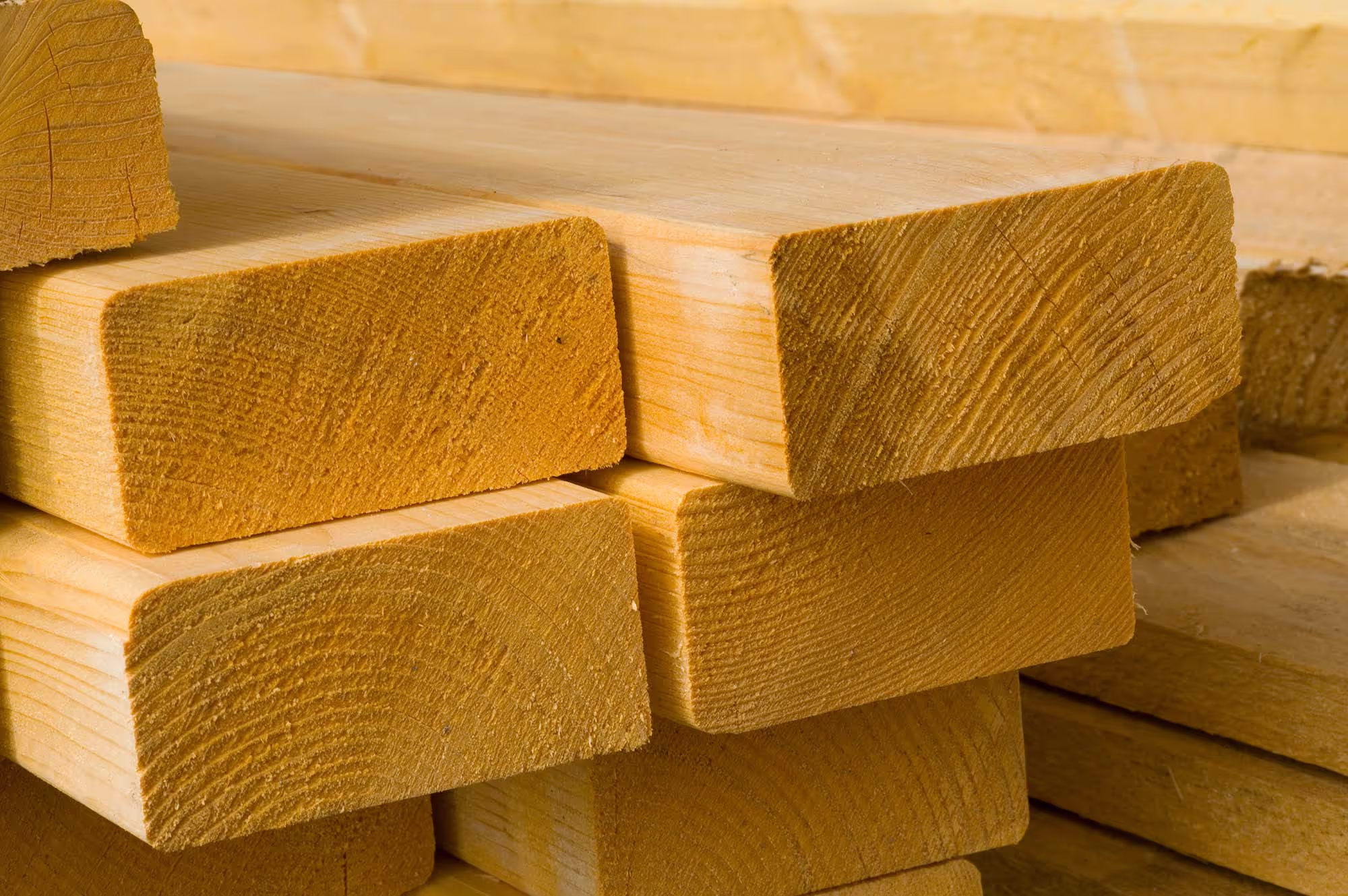 Produit anti-bleu bois frais scié Korasit BSM-P