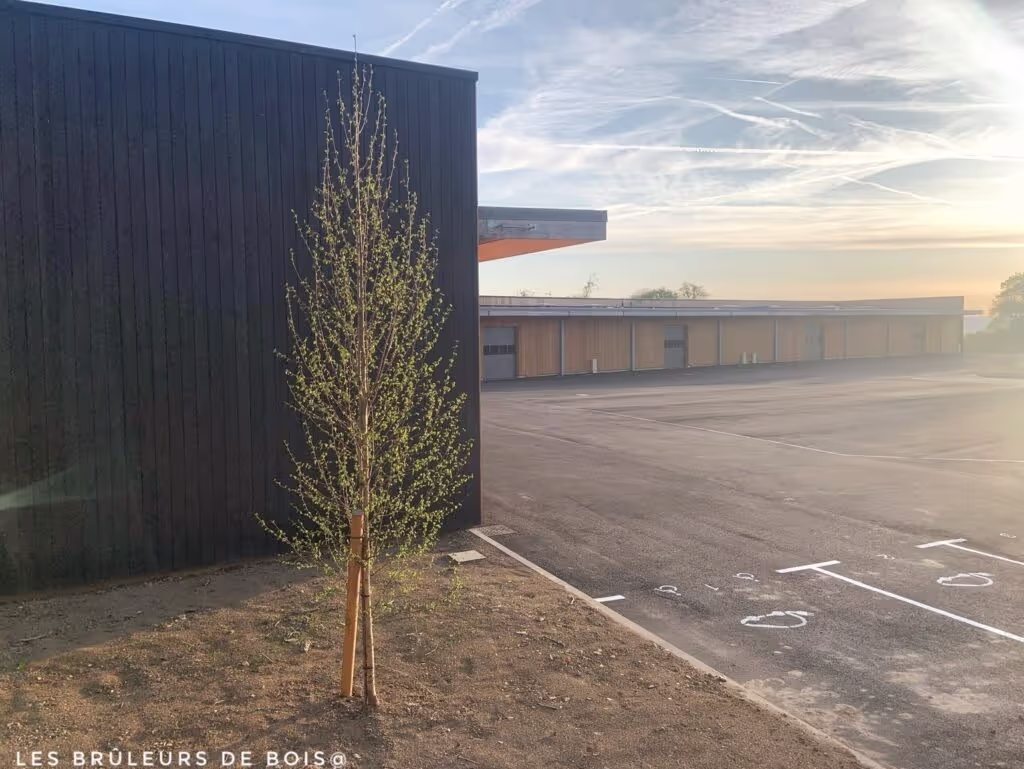 ESTER’UP in Limoges: charred Accoya cladding