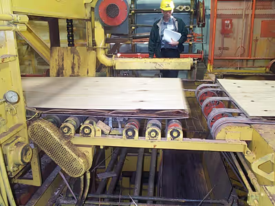 USNR automatic plywood layup lines 5