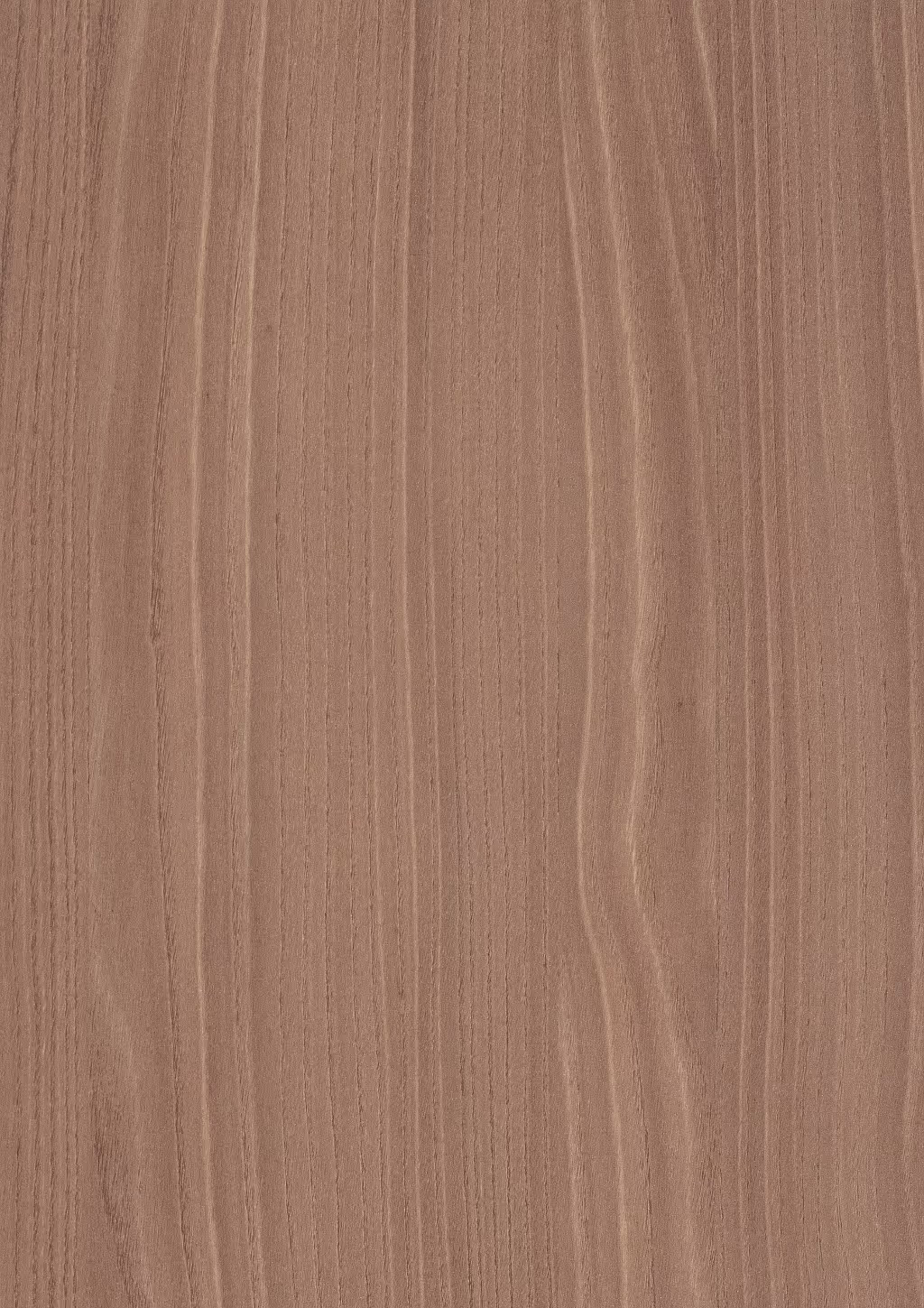 Decorative panel Egger Bolivar Wood natural 2
