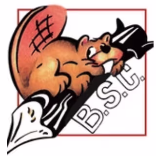Logo | Bois et Scieries du Centre