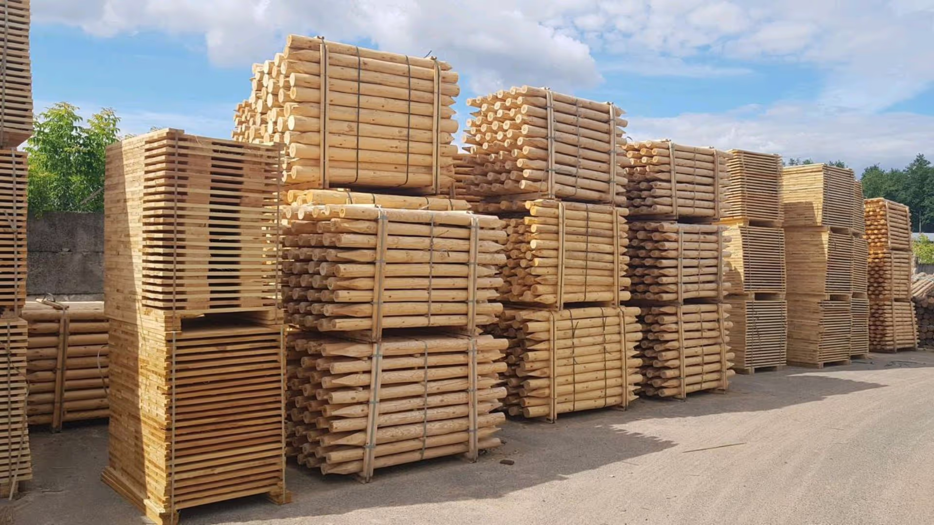 Rondins & Piquets en Pin