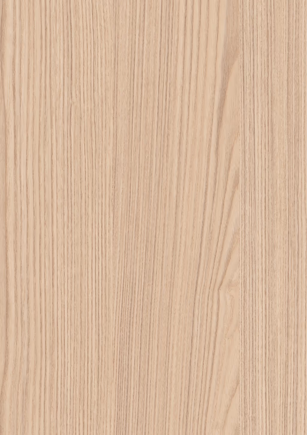 Decorative panel Egger Lugano Ash light natural 2