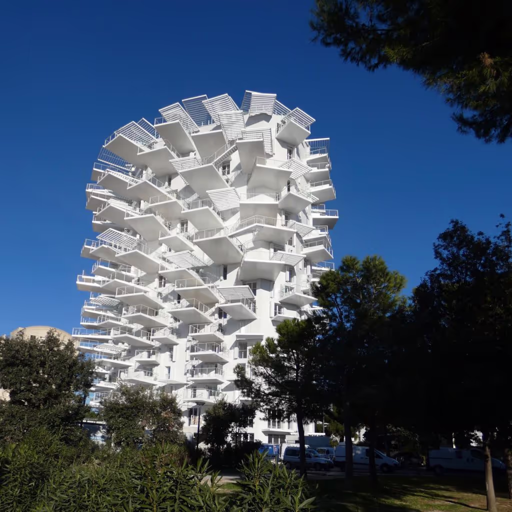 L’Arbre Blanc