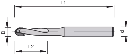 CD030 120/60 DP drill bit LEUCO 2