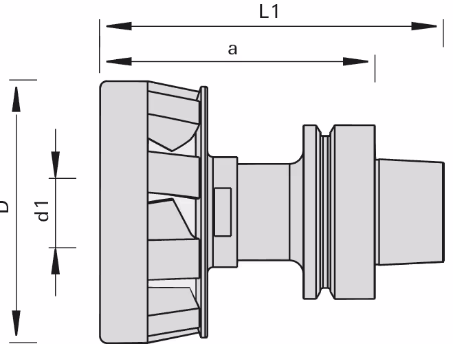 AEROTECH-System with HSK 63F with hydro clamping system LEUCO 2